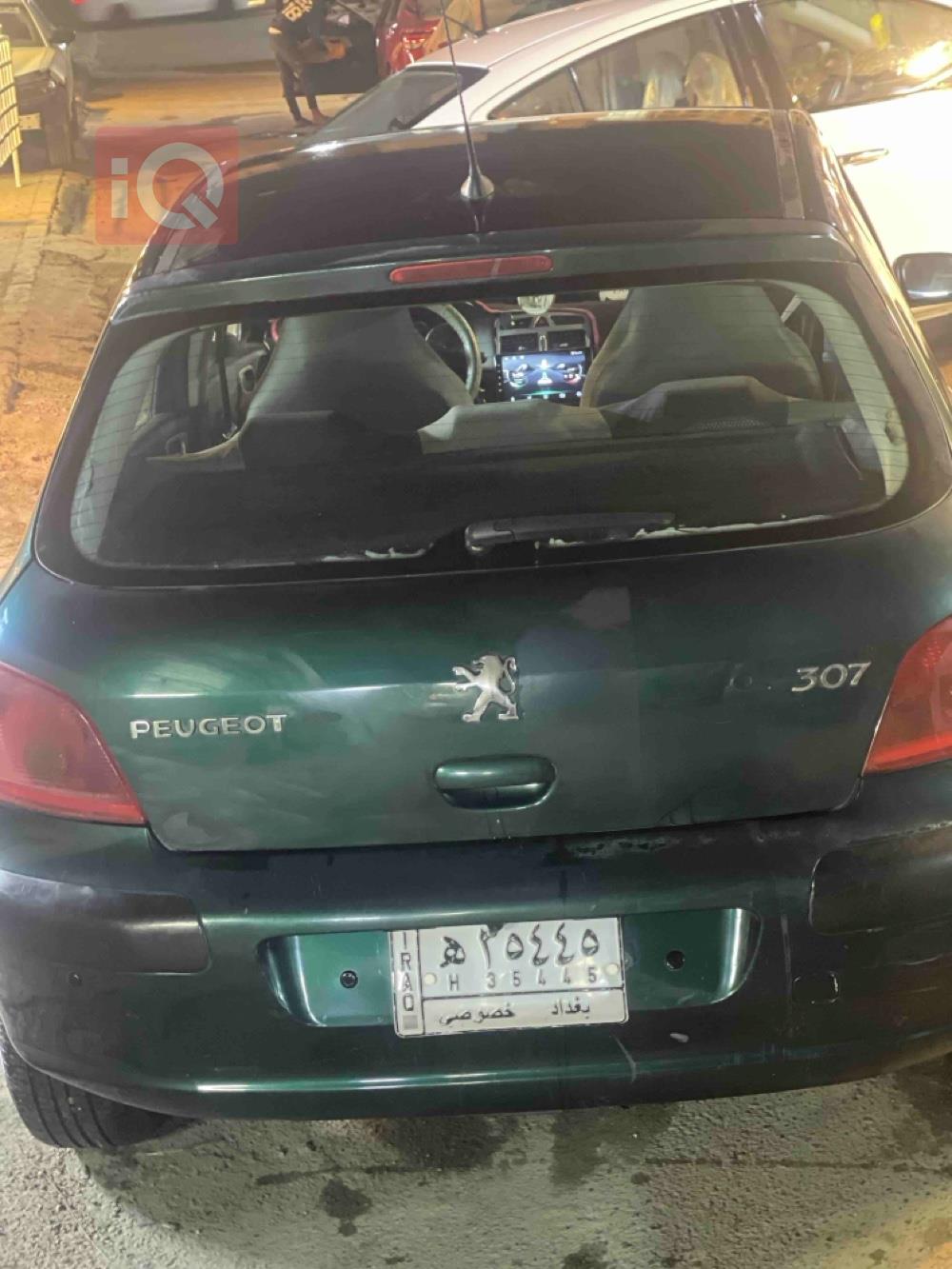 بیجۆ 307